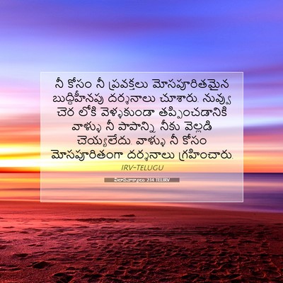 Picture 07 - విలాపవాక్యాలు 2:14 TELIRV - నీ కోసం నీ - Bible Verse Picture