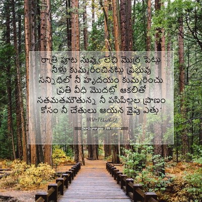 Picture 07 - విలాపవాక్యాలు 2:19 TELIRV - రాత్రి పూట నువ్వు - Bible Verse Picture