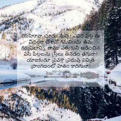 Picture 07 - విలాపవాక్యాలు 2:20 TELIRV - యెహోవా, చూడు. - Bible Verse Picture