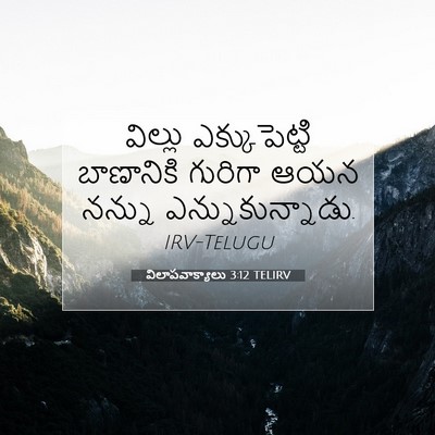 Picture 07 - విలాపవాక్యాలు 3:12 TELIRV - విల్లు - Bible Verse Picture