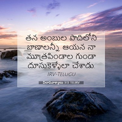 Picture 07 - విలాపవాక్యాలు 3:13 TELIRV - తన అంబుల పొదిలోని - Bible Verse Picture