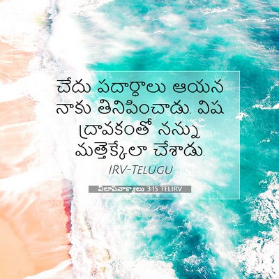 Picture 07 - విలాపవాక్యాలు 3:15 TELIRV - చేదు పదార్ధాలు - Bible Verse Picture