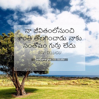 Picture 07 - విలాపవాక్యాలు 3:17 TELIRV - నా జీవితంలోనుంచి - Bible Verse Picture