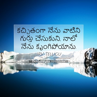 Picture 07 - విలాపవాక్యాలు 3:20 TELIRV - కచ్చితంగా నేను - Bible Verse Picture