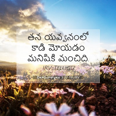 Picture 07 - విలాపవాక్యాలు 3:27 TELIRV - తన యవ్వనంలో కాడి - Bible Verse Picture