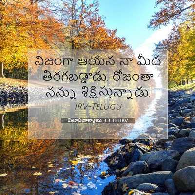 Picture 07 - విలాపవాక్యాలు 3:3 TELIRV - నిజంగా ఆయన నా మీద - Bible Verse Picture