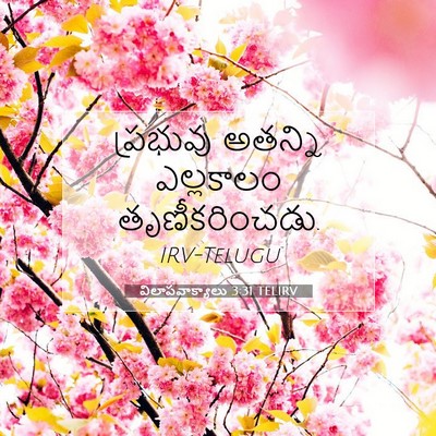 Picture 07 - విలాపవాక్యాలు 3:31 TELIRV - ప్రభువు అతన్ని - Bible Verse Picture