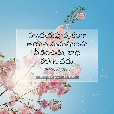Picture 07 - విలాపవాక్యాలు 3:33 TELIRV - హృదయపూర్వకంగా ఆయన - Bible Verse Picture