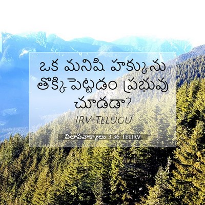 Picture 07 - విలాపవాక్యాలు 3:36 TELIRV - ఒక మనిషి హక్కును - Bible Verse Picture