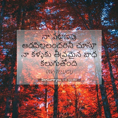 Picture 07 - విలాపవాక్యాలు 3:51 TELIRV - నా పట్టణపు - Bible Verse Picture