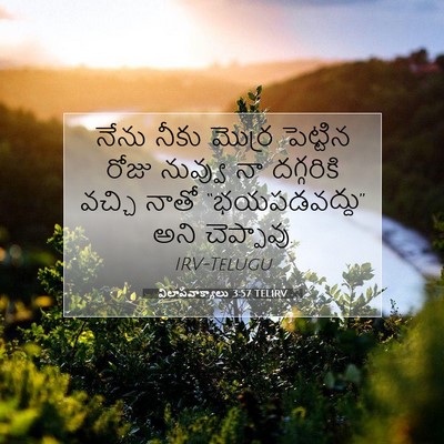 Picture 07 - విలాపవాక్యాలు 3:57 TELIRV - నేను నీకు మొర్ర - Bible Verse Picture