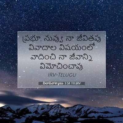 Picture 07 - విలాపవాక్యాలు 3:58 TELIRV - ప్రభూ, నువ్వు నా - Bible Verse Picture