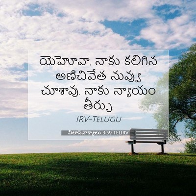 Picture 07 - విలాపవాక్యాలు 3:59 TELIRV - యెహోవా, నాకు - Bible Verse Picture