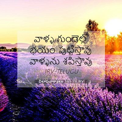 Picture 07 - విలాపవాక్యాలు 3:65 TELIRV - వాళ్ళ గుండెల్లో - Bible Verse Picture