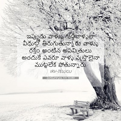 Picture 07 - విలాపవాక్యాలు 4:14 TELIRV - ఇప్పుడు వాళ్ళు - Bible Verse Picture