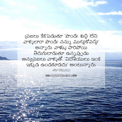 Picture 07 - విలాపవాక్యాలు 4:15 TELIRV - ప్రజలు కేకపెడుతూ - Bible Verse Picture