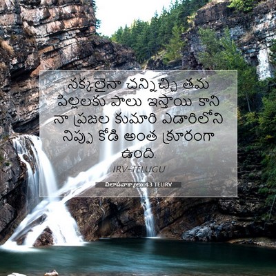 Picture 07 - విలాపవాక్యాలు 4:3 TELIRV - నక్కలైనా - Bible Verse Picture