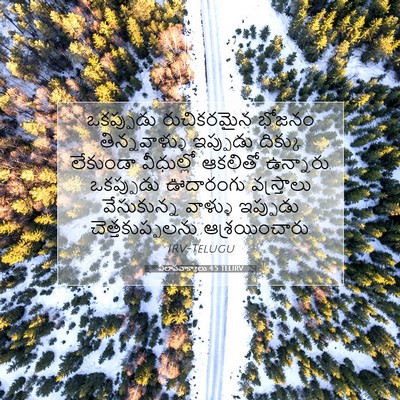 Picture 07 - విలాపవాక్యాలు 4:5 TELIRV - ఒకప్పుడు - Bible Verse Picture