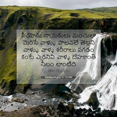 Picture 07 - విలాపవాక్యాలు 4:7 TELIRV - సీయోను నాయకులు - Bible Verse Picture