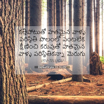 Picture 07 - విలాపవాక్యాలు 4:9 TELIRV - కత్తిపోటుతో హతమైన - Bible Verse Picture