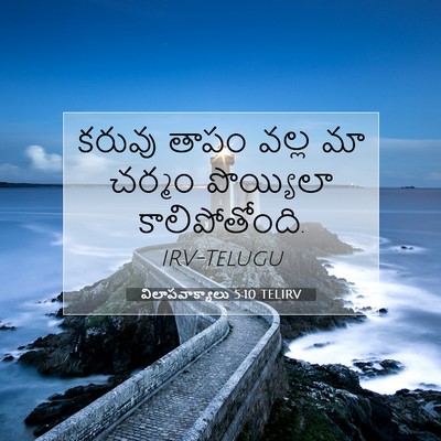 Picture 07 - విలాపవాక్యాలు 5:10 TELIRV - కరువు తాపం వల్ల మా - Bible Verse Picture
