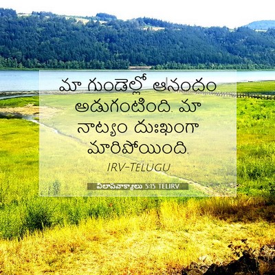 Picture 07 - విలాపవాక్యాలు 5:15 TELIRV - మా గుండెల్లో - Bible Verse Picture