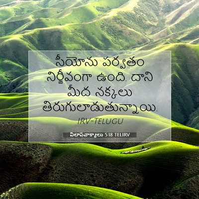 Picture 07 - విలాపవాక్యాలు 5:18 TELIRV - సీయోను పర్వతం - Bible Verse Picture