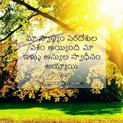 Picture 07 - విలాపవాక్యాలు 5:2 TELIRV - మా స్వాస్థ్యం - Bible Verse Picture