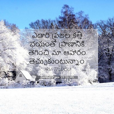 Picture 07 - విలాపవాక్యాలు 5:9 TELIRV - ఎడారి ప్రజల కత్తి - Bible Verse Picture
