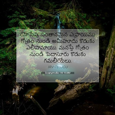 Picture 07 - సంఖ్యాకాండం 1:10 TELIRV - యోసేపు సంతానమైన - Bible Verse Picture