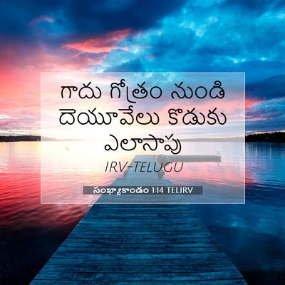Picture 07 - సంఖ్యాకాండం 1:14 TELIRV - గాదు గోత్రం నుండి - Bible Verse Picture