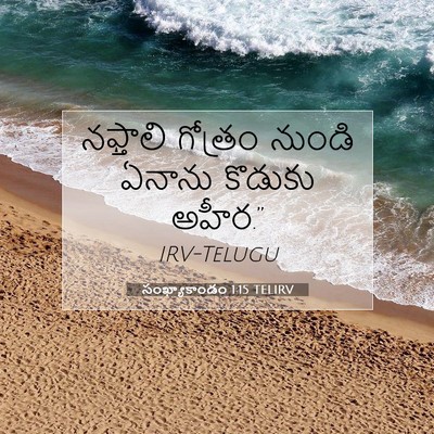 Picture 07 - సంఖ్యాకాండం 1:15 TELIRV - నఫ్తాలి గోత్రం - Bible Verse Picture