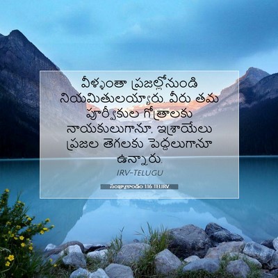 Picture 07 - సంఖ్యాకాండం 1:16 TELIRV - వీళ్ళంతా - Bible Verse Picture