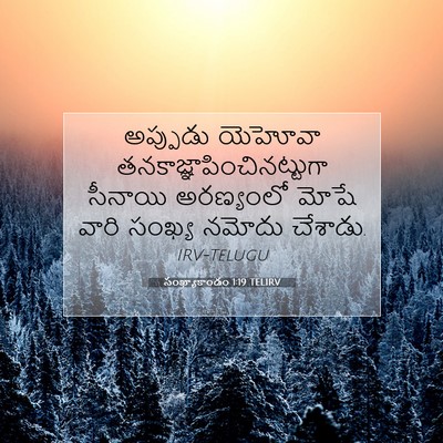 Picture 07 - సంఖ్యాకాండం 1:19 TELIRV - అప్పుడు యెహోవా - Bible Verse Picture