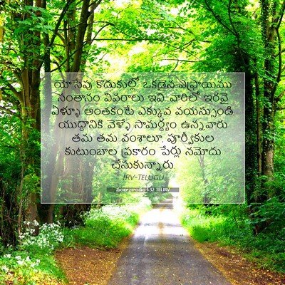 Picture 07 - సంఖ్యాకాండం 1:32 TELIRV - యోసేపు కొడుకుల్లో - Bible Verse Picture