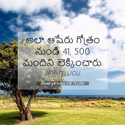 Picture 07 - సంఖ్యాకాండం 1:41 TELIRV - అలా ఆషేరు గోత్రం - Bible Verse Picture