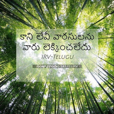 Picture 07 - సంఖ్యాకాండం 1:47 TELIRV - కాని లేవీ - Bible Verse Picture
