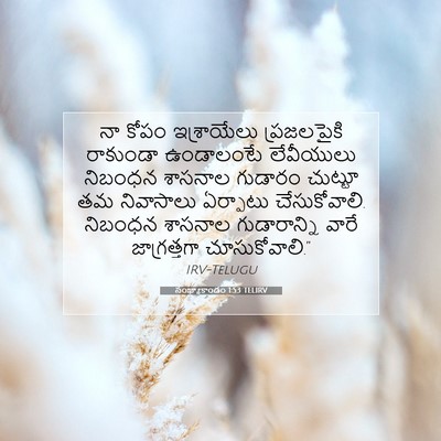 Picture 07 - సంఖ్యాకాండం 1:53 TELIRV - నా కోపం ఇశ్రాయేలు - Bible Verse Picture