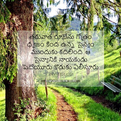 Picture 07 - సంఖ్యాకాండం 10:18 TELIRV - తరువాత రూబేను - Bible Verse Picture