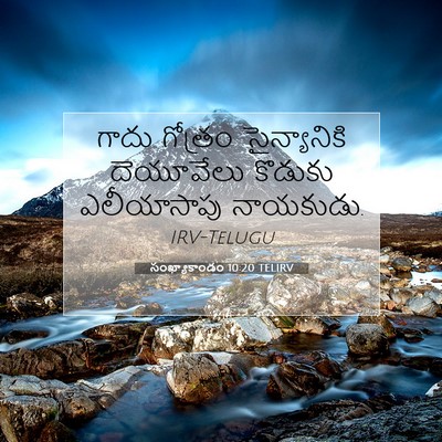 Picture 07 - సంఖ్యాకాండం 10:20 TELIRV - గాదు గోత్రం - Bible Verse Picture