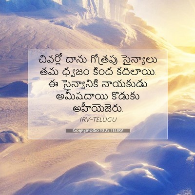Picture 07 - సంఖ్యాకాండం 10:25 TELIRV - చివర్లో దాను - Bible Verse Picture