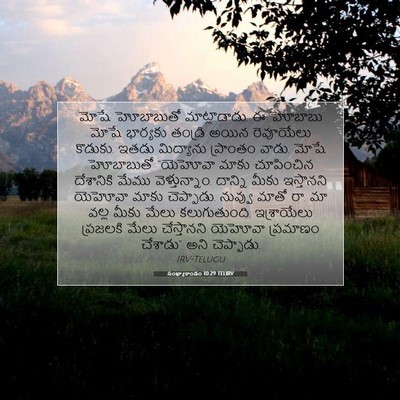 Picture 07 - సంఖ్యాకాండం 10:29 TELIRV - మోషే హోబాబుతో - Bible Verse Picture