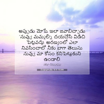 Picture 07 - సంఖ్యాకాండం 10:31 TELIRV - అప్పుడు మోషే ఇలా - Bible Verse Picture