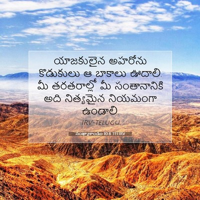 Picture 07 - సంఖ్యాకాండం 10:8 TELIRV - యాజకులైన అహరోను - Bible Verse Picture