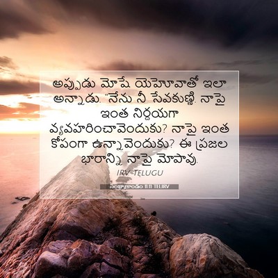 Picture 07 - సంఖ్యాకాండం 11:11 TELIRV - అప్పుడు మోషే - Bible Verse Picture