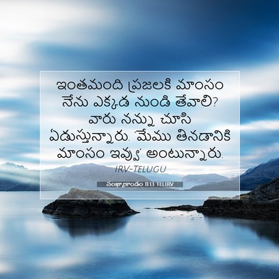 Picture 07 - సంఖ్యాకాండం 11:13 TELIRV - ఇంతమంది ప్రజలకి - Bible Verse Picture