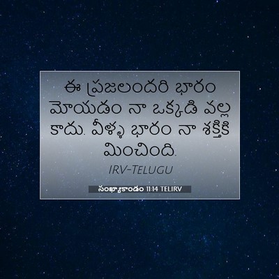 Picture 07 - సంఖ్యాకాండం 11:14 TELIRV - ఈ ప్రజలందరి భారం - Bible Verse Picture