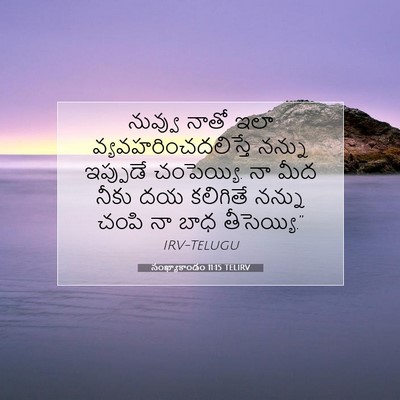 Picture 07 - సంఖ్యాకాండం 11:15 TELIRV - నువ్వు నాతో ఇలా - Bible Verse Picture