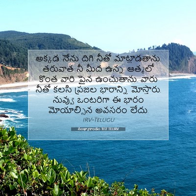 Picture 07 - సంఖ్యాకాండం 11:17 TELIRV - అక్కడ నేను దిగి - Bible Verse Picture