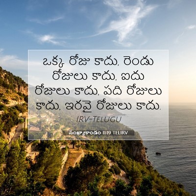 Picture 07 - సంఖ్యాకాండం 11:19 TELIRV - ఒక్క రోజు కాదు, - Bible Verse Picture